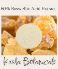 Frankincense 60% Boswellic Acid Extract Powder 20g